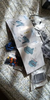 Molly F. review photo