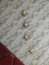Ainee Shan review photo