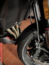 René Berber review photo