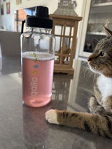 Jessy V. review photo