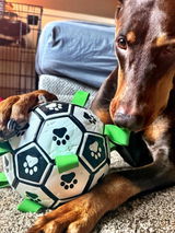 Sixx_The_Doberman review photo