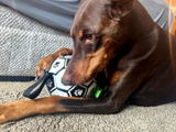 Sixx_The_Doberman review photo