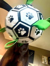 Sixx_The_Doberman review photo