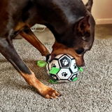 Sixx_The_Doberman review photo