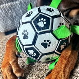 Sixx_The_Doberman review photo