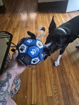 Matéo review photo