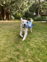 Charlotte T review photo