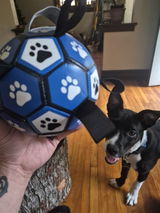 Matéo review photo