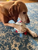 RedDogs3 review photo