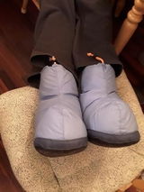 rice650 review photo