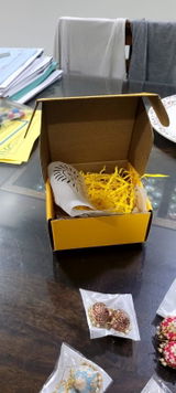 Mahi review photo