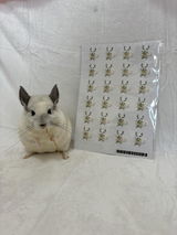 美紗 熊谷 review photo