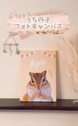 ぼんちゃん review photo