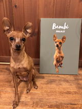 Bambi review photo