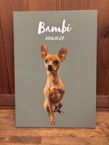 Bambi review photo