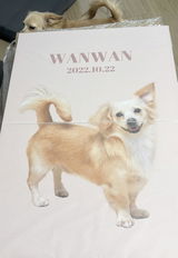 木下 review photo