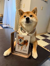 はち review photo