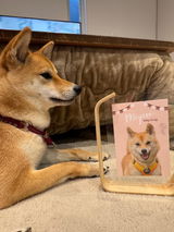 みやび review photo