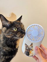 サビ猫のサビちゃん review photo