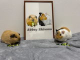 シロアビ♡♡ review photo
