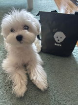 はやおきのきわみ review photo