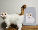 しらたま review photo