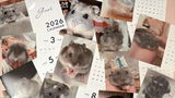 ぐり review photo