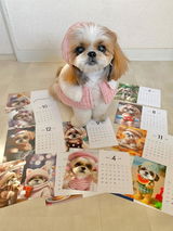 パセリママ review photo