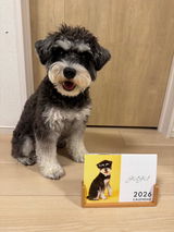 ぐぐママ review photo