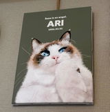 アリ review photo