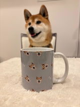 こてつ review photo