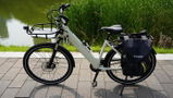 albin T. review photo
