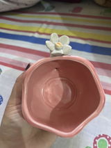 Kirpi karga review photo