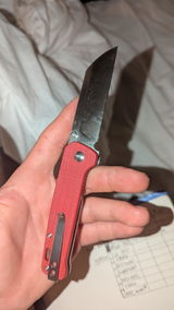 plamn review photo