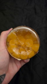 Jasmine review photo