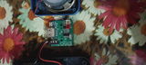 Vikas Sawroop review photo