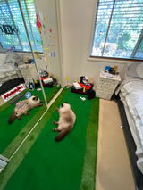 Premium Turf Putting Mat
