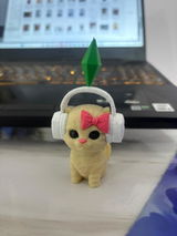 Aman review photo