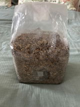 Richard S Marano review photo