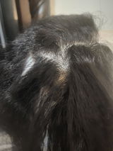 Felisa C. review photo