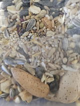 Maree S. review photo