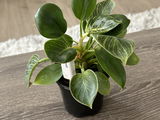 Laura Rodriguez Alvira review photo