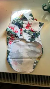 Janaina review photo