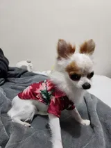 Marli review photo