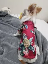 Marli review photo
