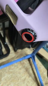 Black Pedal review photo