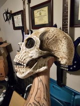 dane s. review photo