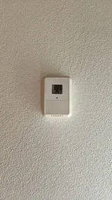 Carlota F. review photo