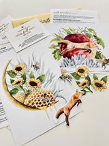 Jande Summer review photo