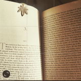 Vinita Rao review photo